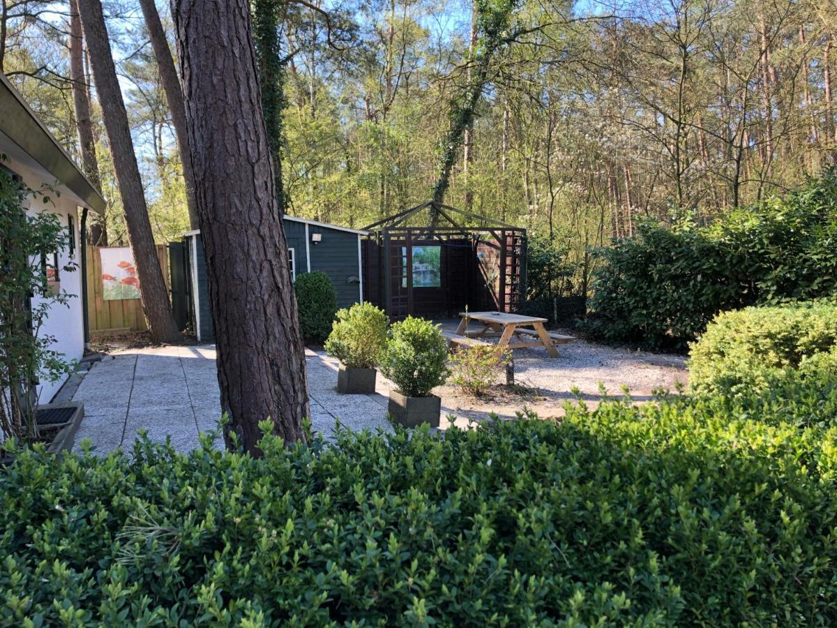 Chalet Dennenvelt Villa Doornspijk Luaran gambar
