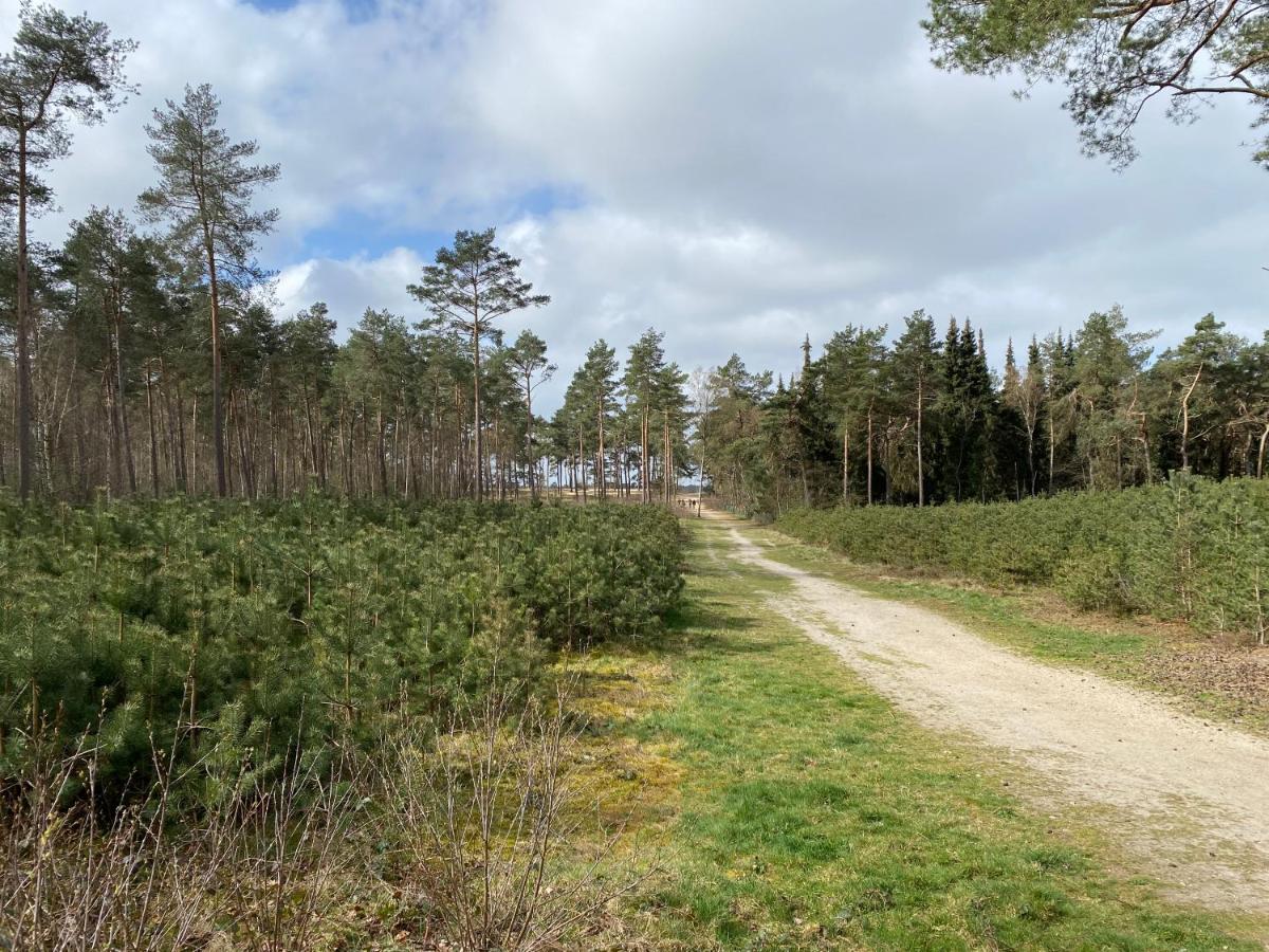 Chalet Dennenvelt Villa Doornspijk Luaran gambar